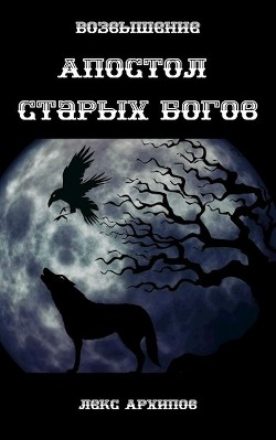 Книга Возвышение (СИ)