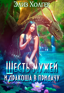 Читать онлайн книгу Шесть мужей и дракоша в придачу. Часть 2 (СИ) автор Холгер Элиз Книга Шесть мужей и дракоша в придачу. Часть 2 (СИ)