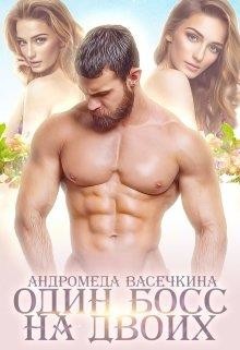 Книга Один босс на двоих (СИ)