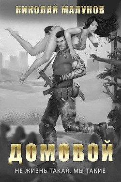 Книга Домовой (СИ)