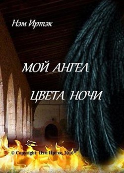Читать онлайн книгу Мой ангел цвета ночи (СИ) автор Нэм Иртэк Книга Мой ангел цвета ночи (СИ)