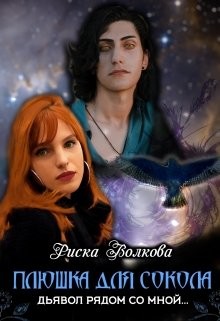 Книга Плюшка для Сокола (СИ)