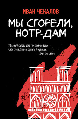 Книга Мы сгорели, Нотр-Дам