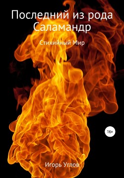 Читать онлайн книгу Последний из рода Саламандр (СИ) автор Uglov Игорь Книга Последний из рода Саламандр (СИ)