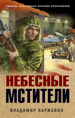 Читать онлайн книгу Небесные мстители автор Каржавин Владимир Васильевич Книга Небесные мстители