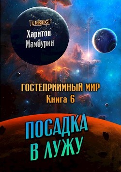 Книга Посадка в лужу (СИ)