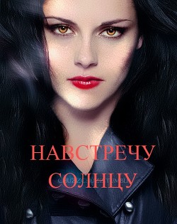 Читать онлайн книгу Навстречу солнцу (СИ) автор Книга Навстречу солнцу (СИ)
