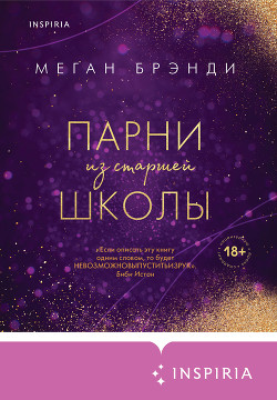Читать онлайн книгу Парни из старшей школы автор Брэнди Меган Книга Парни из старшей школы