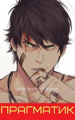 Читать онлайн книгу Прагматик (СИ) автор Володин Григорий Григорьевич Книга Прагматик (СИ)