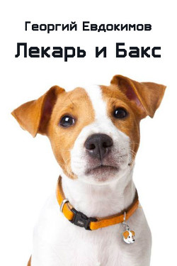 Книга Лекарь и Бакс (СИ)