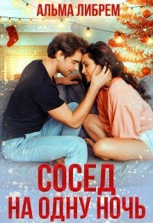 Читать онлайн книгу Сосед на одну ночь (СИ) автор Либрем Альма Книга Сосед на одну ночь (СИ)
