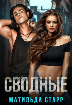 Книга Сводные