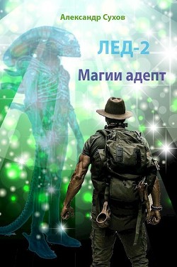 Книга Магии адепт (СИ)