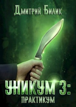 Книга Практикум (СИ)