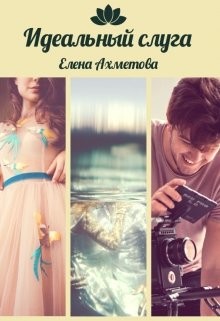 Читать онлайн книгу Идеальный слуга (СИ) автор Ахметова Елена Книга Идеальный слуга (СИ)