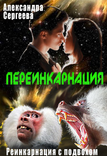 Книга Переинкарнация (СИ)