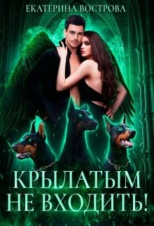 Читать онлайн книгу Крылатым не входить! (СИ) автор Вострова Екатерина Сергеевна Книга Крылатым не входить! (СИ)
