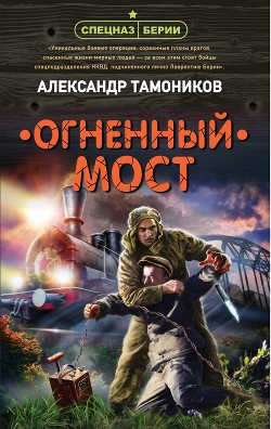 Читать онлайн книгу Огненный мост автор Тамоников Александр Книга Огненный мост