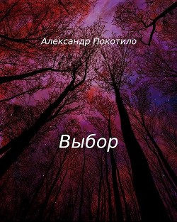 Книга Выбор (СИ)