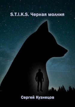 Книга S-T-I-K-S. Чёрная Молния (СИ)