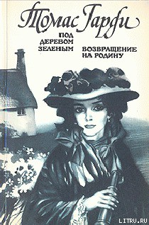 Книга Возвращение на родину