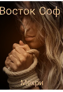 Книга Восток Соф (СИ)