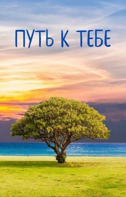 Читать онлайн книгу Путь к тебе (СИ) автор Книга Путь к тебе (СИ)