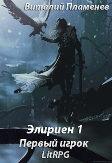 Книга Элириен 1. Первый игрок.