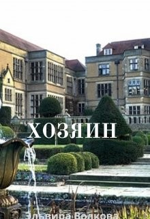 Книга Хозяин (СИ)