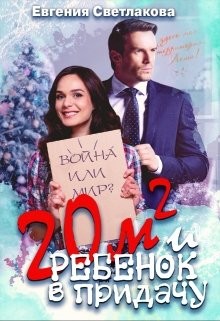 Читать онлайн книгу Двадцать квадратов и ребенок в придачу! (СИ) автор Светлакова Евгения Книга Двадцать квадратов и ребенок в придачу! (СИ)