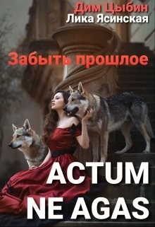 Читать онлайн книгу Actum ne agas. Забыть прошлое (СИ) автор Цыбин Дим Книга Actum ne agas. Забыть прошлое (СИ)