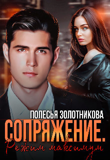 Книга Сопряжение. Режим Максимум (СИ)
