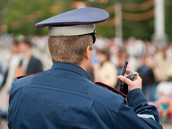 Книга Свистун-затейник. Часть 65 (СИ)