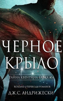 Читать онлайн книгу Чёрное крыло (ЛП) автор Андрижески Дж. С. Книга Чёрное крыло (ЛП)