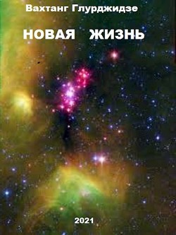 Читать онлайн книгу Новая жизнь (СИ) автор Глурджидзе Вахтанг Книга Новая жизнь (СИ)