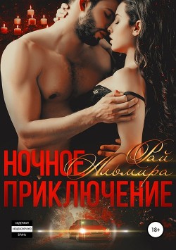 Читать онлайн книгу Ночное приключение автор Рай Ангелина Книга Ночное приключение