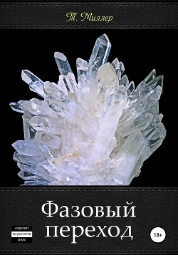 Читать онлайн книгу Фазовый переход (СИ) автор Миллер Тони Книга Фазовый переход (СИ)