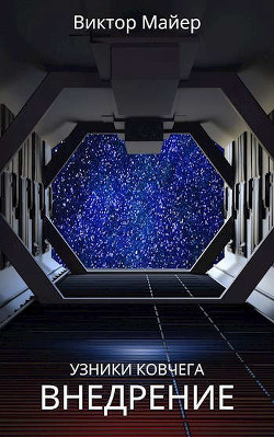 Книга Внедрение (СИ)