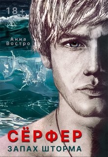 Книга Сёрфер. Запах шторма (СИ)
