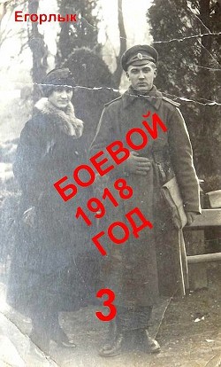Читать онлайн книгу Боевой 1918 год-3 (СИ) автор Конюшевский Владислав Николаевич Книга Боевой 1918 год-3 (СИ)