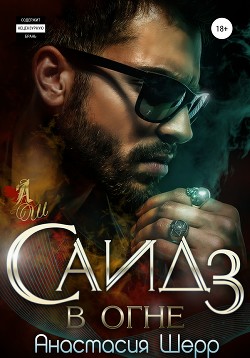 Читать онлайн книгу Саид 3. В огне автор Шерр Анастасия Книга Саид 3. В огне