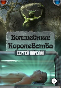 Книга Волшебные королевства 6 (СИ)