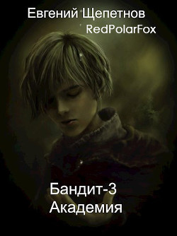 Читать онлайн книгу Академия (СИ) автор Щепетнов Евгений Владимирович Книга Академия (СИ)