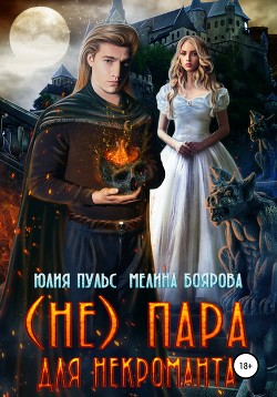Книга (Не) пара для некроманта
