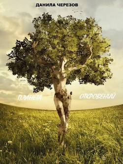 Читать онлайн книгу Планета откровений (СИ) автор Черезов Данила Алексеевич Книга Планета откровений (СИ)