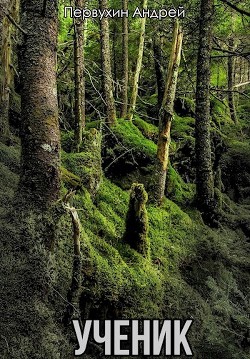 Книга Ученик. Книга вторая (СИ)