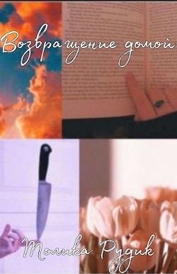 Книга Возвращение домой (СИ)