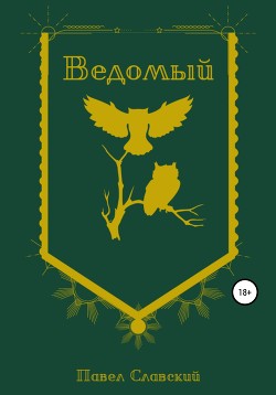 Читать онлайн книгу Ведомый (СИ) автор Павел Славский Книга Ведомый (СИ)