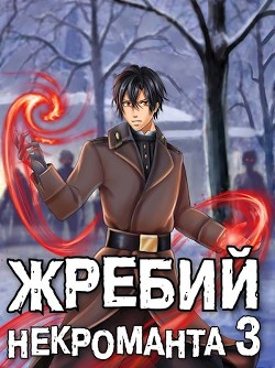 Книга Жребий некроманта 3 (СИ)