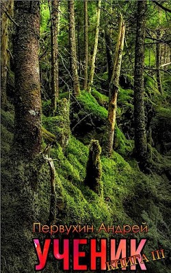 Книга Ученик. Книга третья (СИ)